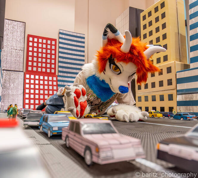 Photo by Baritz_Photography