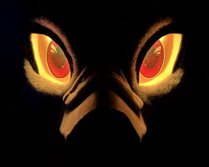 LED eyes on
