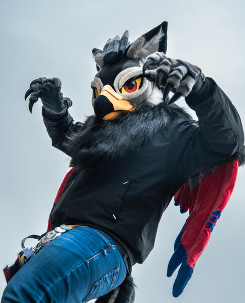 Photo by Matsu