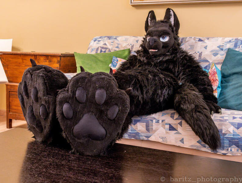 Photo by Baritz Photography
