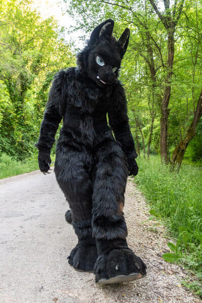 Photo by Baritz Photography