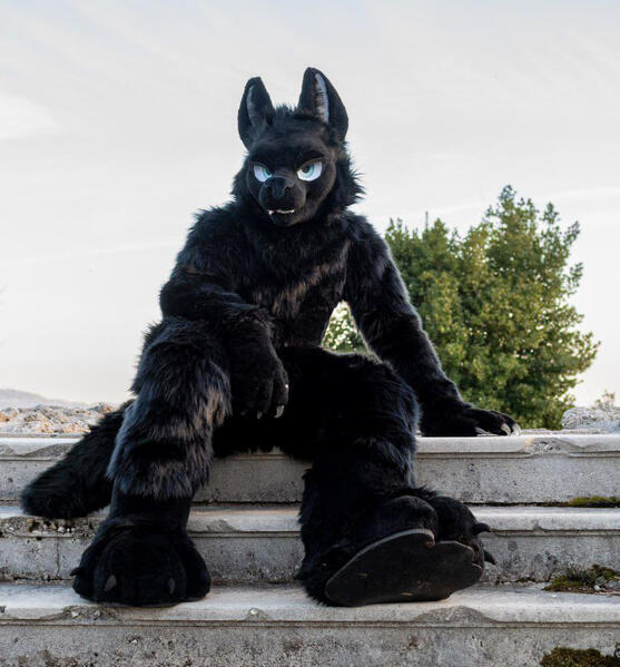 Photo by Baritz Photography