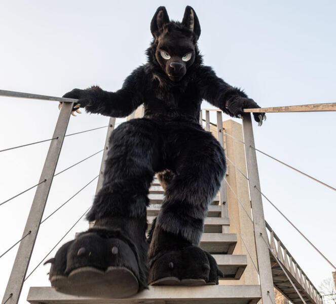 Photo by Baritz Photography