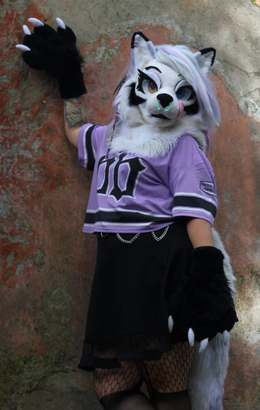 Photo by Teo