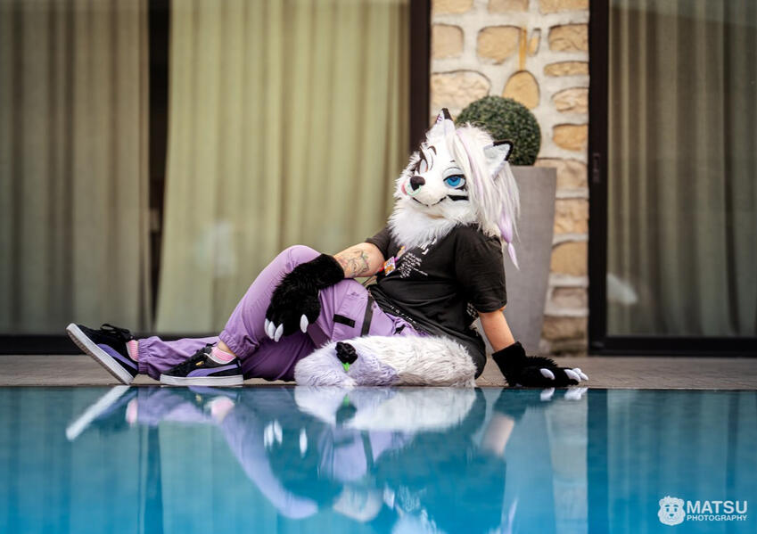 Photo by Matsu