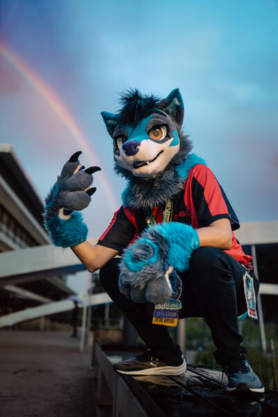Photo by MakiBoxPhoto
