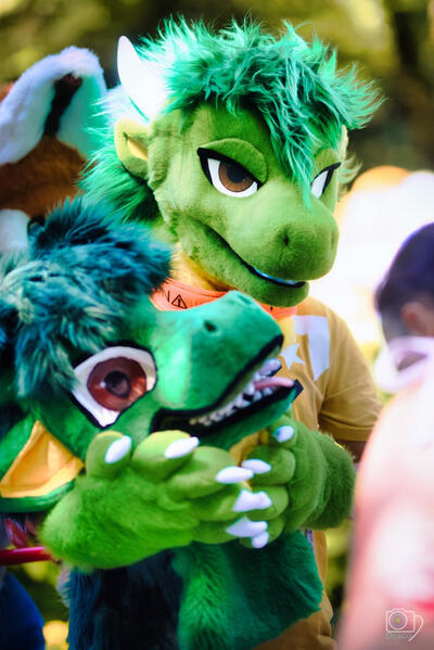 Photo by Draco ft. previous head