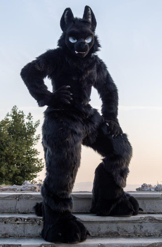 Photo by Baritz Photography